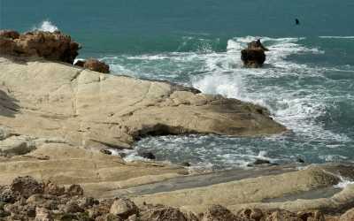 Wycieczka fakultatywna, Wycieczka Marathon Jeep Safari - Narodowy Park Akamas z Cypru Północnego