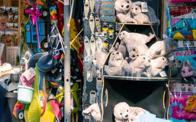 Obóz młodzieżowy, Jastrzębia Góra - kolonia "Morski Mixer" OW Diuna, 10 dni 9-14 lat